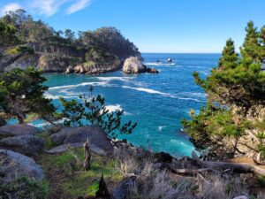 An image from Punto Lobo in Big Sur, California representing reviewing the situation